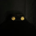 Pankaja Earrings Studs